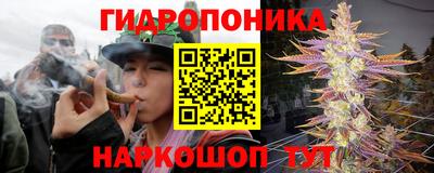 тгк Новозыбков