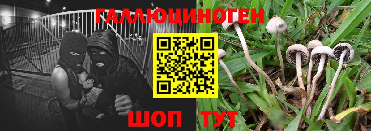Советский  Псилоцибиновые грибы Magic Shrooms  Вход с VPN 